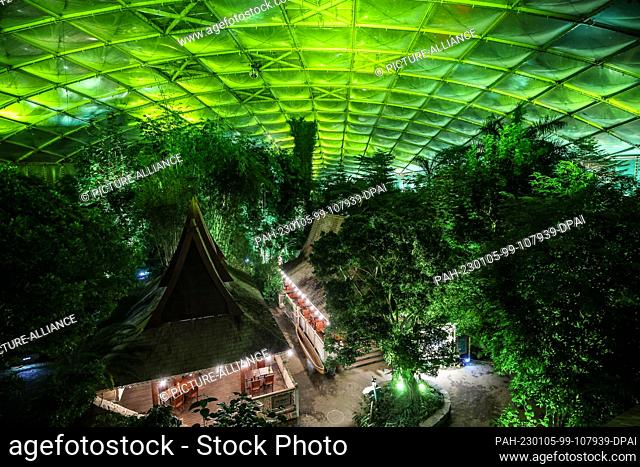 04 January 2023, Saxony, Leipzig: Gondwanaland at Leipzig Zoo will be colorfully illuminated for the ""Magical Tropical Lights"" event