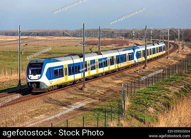 Dutch railway with local train through National Park Oostvaardersplassen between Lelystad and Almere