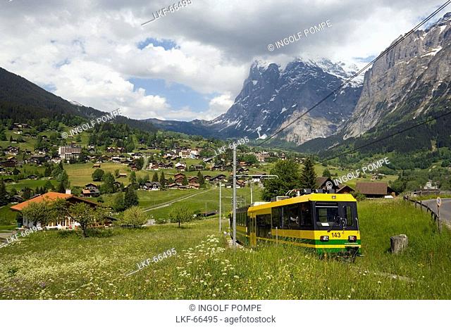 Jungfraubahn on the way from Grindelwald to Kleine Scheidegg, Bernese Oberland highlands, Canton of Bern, Switzerland