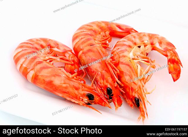Cooked prawns isolated on white background