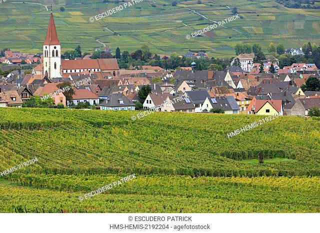 France, Haut Rhin, Route des Vins d'Alsace (Route of the wines of Alsace region), Ammerschwihr, general view of the village and vinyards