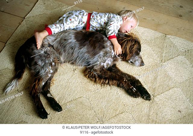 Boy with dog (German Longhaired Pointer)