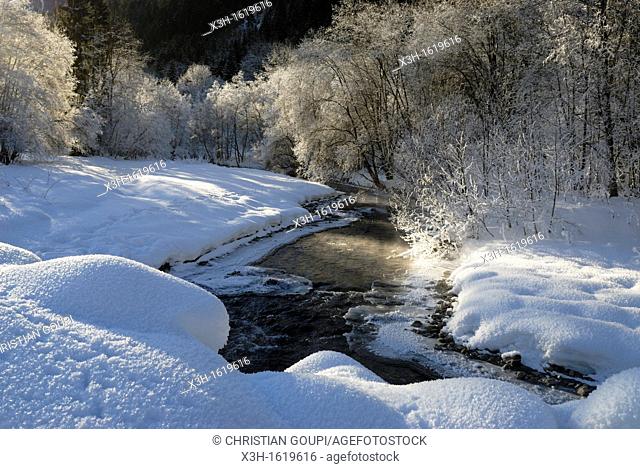 frost over the Dranse d'Abondance river, Haute-Savoie department, Rhone-Alpes region, France, Europe