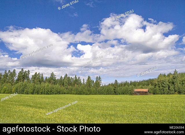 Rural landscape with a barn in a field on the edge of a forest close to the Swedish village Bollnas