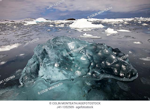Hard, highly compressed translucent ice floats among floats, Penola Strait, Antarctic Peninsula