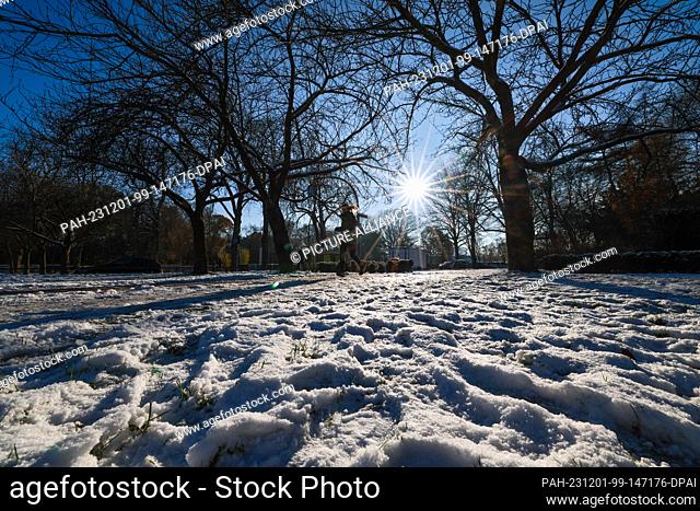 30 November 2023, Hamburg: Even when the sun is shining brightly, the snow remains in the city park. The wintry temperatures continue in the coming days