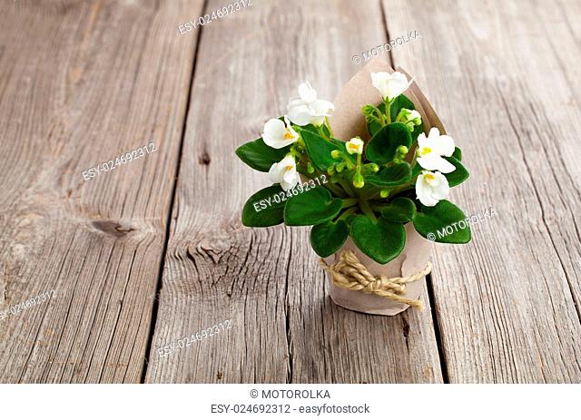 white Saintpaulias flowers in paper packaging, on wooden background