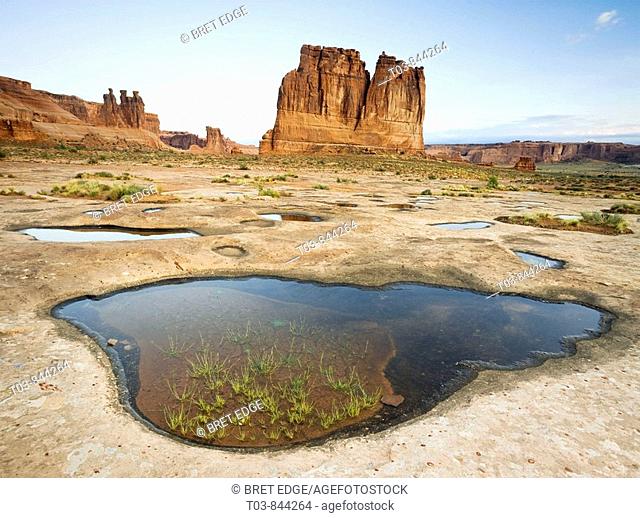 The Organ and the Three Gossips rise high above a slickrock bench marked with rainwater filled potholes in Arches National Park near Moab, Utah