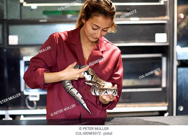 Female college student handling ball python in lab