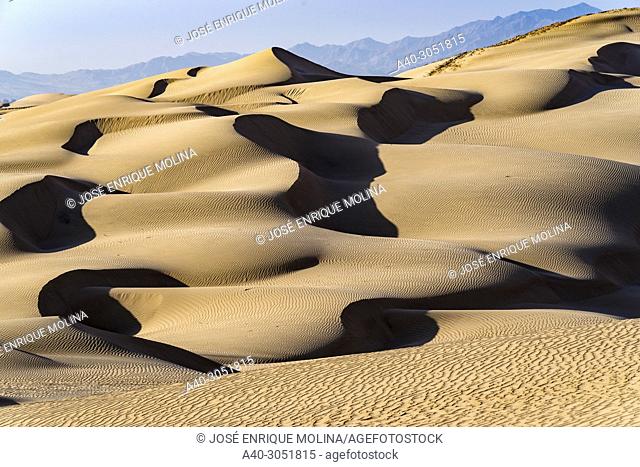 Desert of Ica in Peru, sand dunes and lagoon, South America