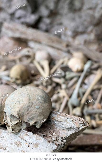 Human bones and skulls in Ketekesu (Tana Toraja, South Sulawesi, Indonesia), traditional burial site with semi open old wooden coffins placed in caves or...