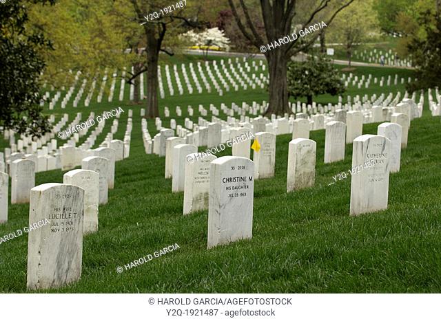 Fallen Heroes aligned rows of tombstones Arlington USA