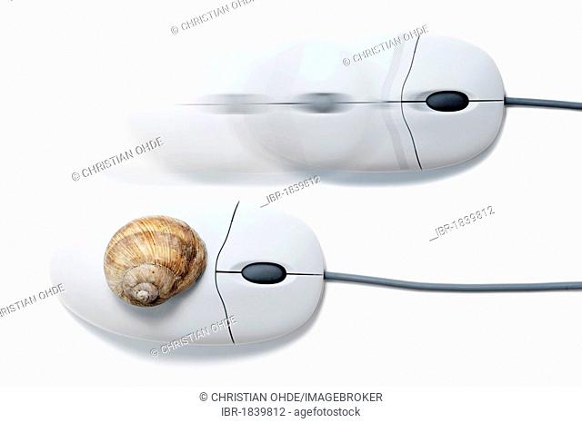 Computer mouse with a snail shell and a computer mouse with motion blur, symbolic image for two-tiered Internet