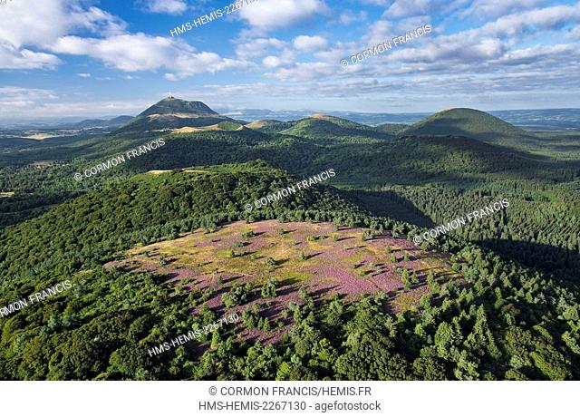 France, Puy de Dome, the Regional Natural Park of the Volcanoes of Auvergne, Chaine des Puys, Orcines, the summit of the Grand Sarcoui volcano covered with...