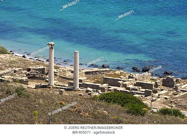 Excavations of Tharros, Roman settlement, two reconstructed columns, Sardinia, Italy, Europe