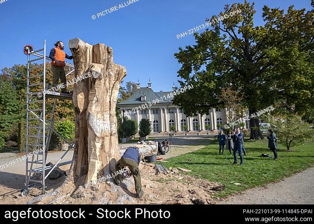 13 October 2022, Saxony, Dresden: Sculptors Hans-Georg Wagner and Paul Jacob work on a torso of a dead blood beech in Pillnitz Palace Park