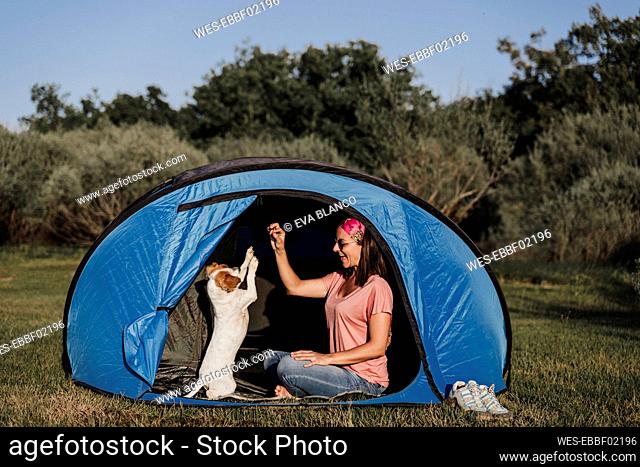Cheerful woman playing with dog while sitting in tent