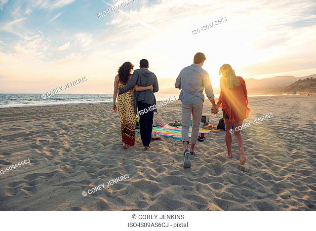 Two young couples walking along beach, rear view