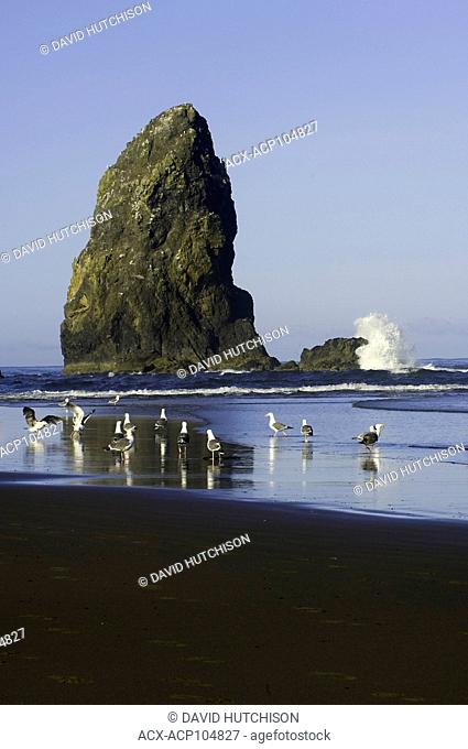 Haystack Rock, Cannon Beach, Oregon coast, USA