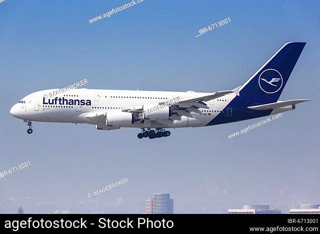 A Lufthansa Airbus A380-800 aircraft with registration D-AIMG lands at Los Angeles Airport, USA, North America