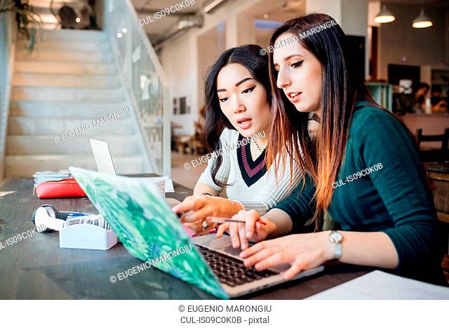 Two young businesswomen remote working, looking at laptop in cafe
