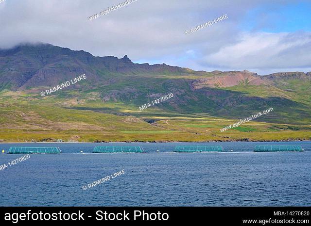 Aquaculture, fish farming, sea, clouds, fjord, summer, Iceland
