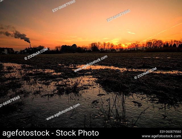 Winter sunrise landscape in the forest with a frozen field in the foreground in lower austria