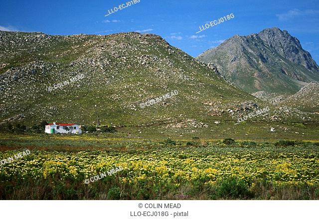 Farmstead and Hills in Kamieskroon  Namaqualand, North Eastern Cape, South Africa