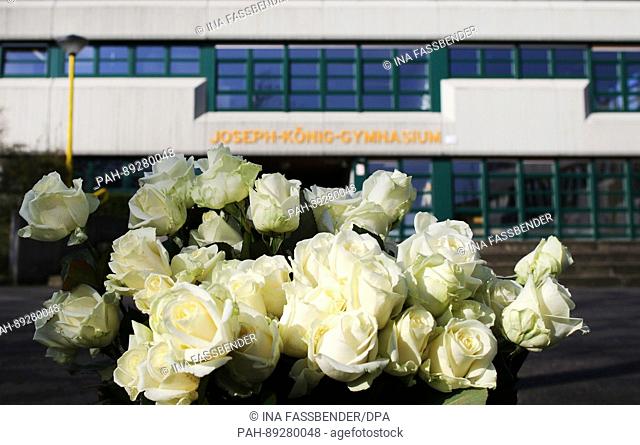 White roses can be seen outside the Joseph Koenig secondary school in Haltern am See, Germany, 24 March 2017. On the occasion of the second anniversary of the...