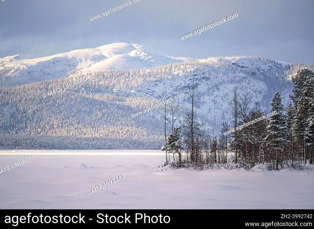 Winter landscape with big mountain in background in background, shot with long lens, Jokkmokk county, Swedish Lapland, Sweden
