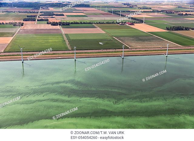 Aerail view Dutch coast of province Flevoland in hot summer, the sea is covered with blue-green algae - Cyanobacteria - through eutrophication