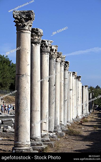 Columns in the western gate of the Agora in Ephesus, Izmir, Turkey, Asia
