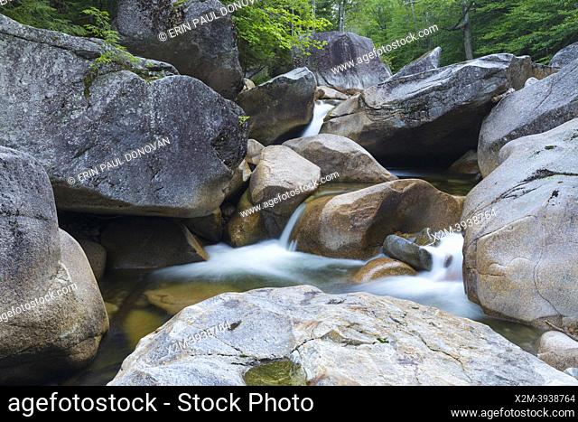 The Pemigewasset River in the general area of Frank W. Whitehouseâ. . s 1890s mill site in Franconia Notch in Lincoln, New Hampshire on a summer day during the...
