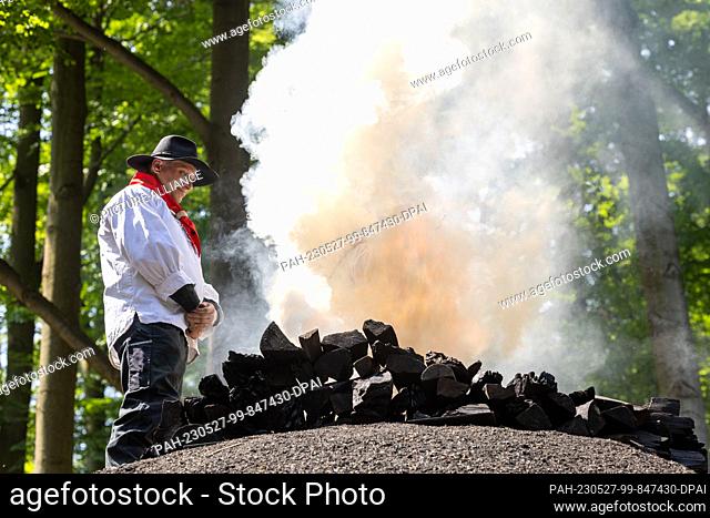 27 May 2023, Saxony, Tharandt: Sven Papperitz stands on the charcoal pile in the Breiten Grund in the Tharandt Forest and observes the inside