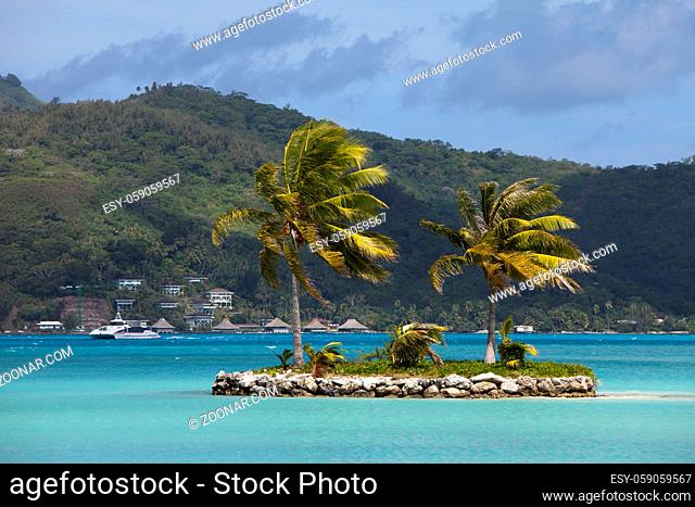 Hill slope and a small island with palm trees in the sea. Polynesia