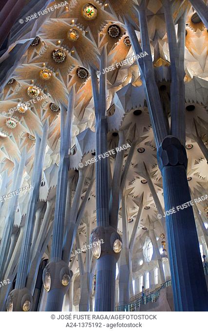Spain, Catalonia, Barcelona City, Sagrada Familia Temple inside, Roof