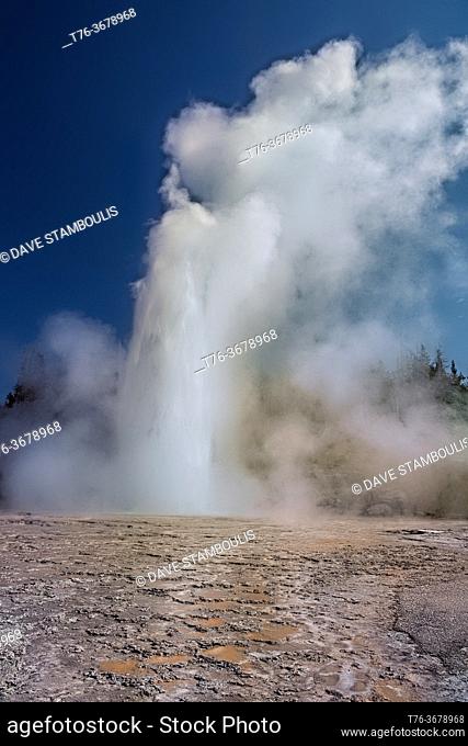 Grand Geyser erupting, Upper Geyser Basin, Yellowstone National Park, Wyoming, USA