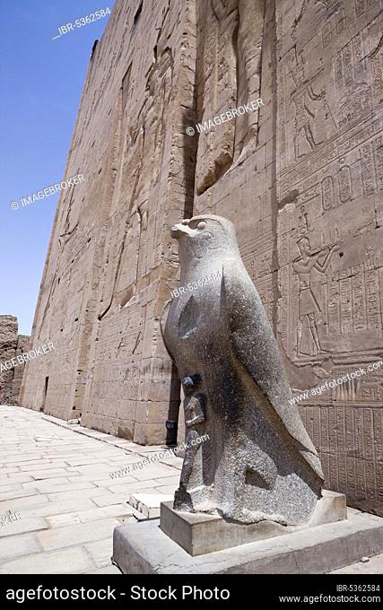 Horus statue in front of Horus temple, Edfu, Idfu, Horus temple, Horus falcon, Egypt, Africa