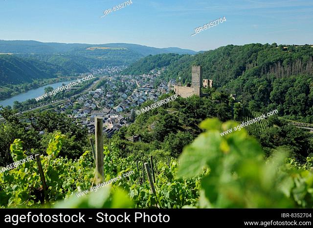 View of Niederburg Castle and landscape in the wine-growing area in Kobern, Kobern-Gondorf, Untermosel, Moselle, Rhineland-Palatinate, Germany, Europe