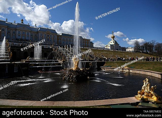 RUSSIA, ST PETERSBURG - APRIL 22, 2023: A view shows the Grand Cascade during the beginning of the fountain season at the Peterhof State Museum Reserve