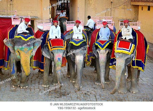 Elephants waiting for tourists to carrying them up to the Amber Fort Amber Palace, Amer 11km from Jaipur, Rajasthan, India