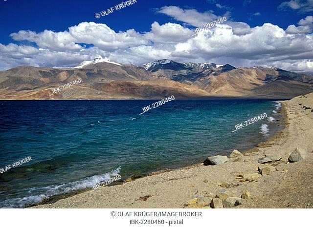 Bank of the high-altitude lake Tso Moriri, Tsomoriri or Lake Moriri, Changtang or Changthang, Ladakh, Indian Himalayas, Jammu and Kashmir, North India, India