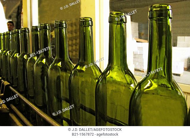 White wines bottling at Domaine de Joÿ wines and armagnac estate, at Panjas, Gers, Midi-Pyrenees, France