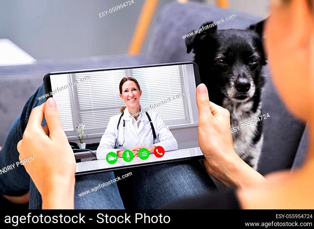 Web Video Conference Call With Doctor On Tablet Computer