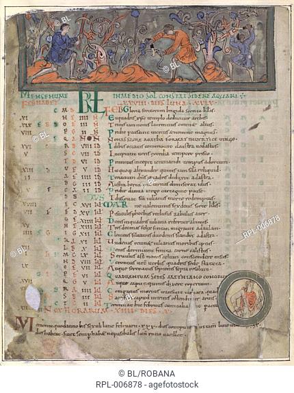 Pruning vines Whole folio Calendar page for February. Men cutting vines one with a mattock. At foot Aquarius in a roundel