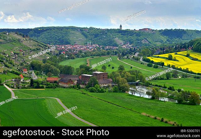 Valley, Unstrut, Freyburg, Saxony-Anhalt, Germany, Europe
