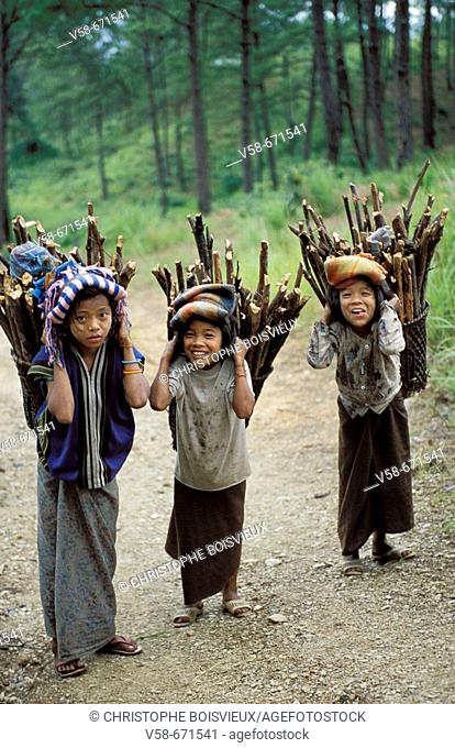 Chin children carrying firewood, mindat region, Myanmar
