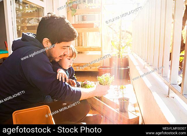 Boy sitting with father while planting plant at balcony