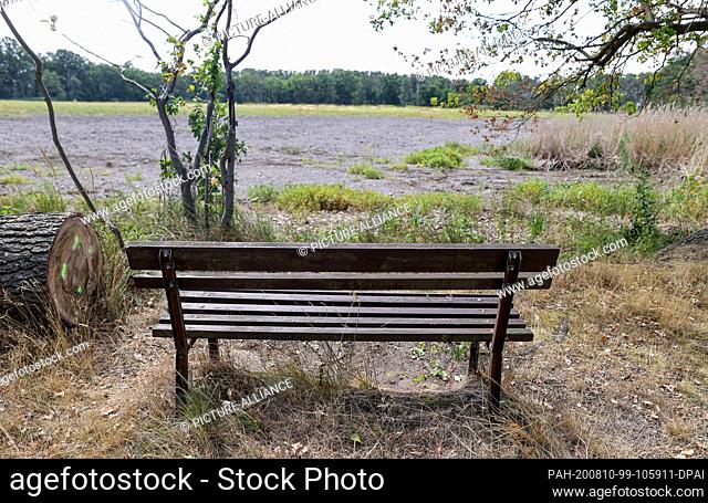 24 July 2020, Saxony, Bennewitz: A bench stands on the bank of the dried out stork pond of the Bennewitz pond group. The fish farms in Saxony suffer from the...
