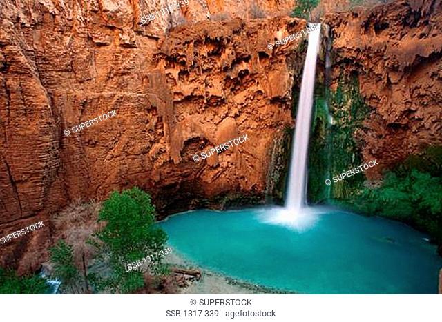 Waterfall in a forest, Mooney Falls, Havasupai Indian Reservation, Grand Canyon, Arizona, USA
